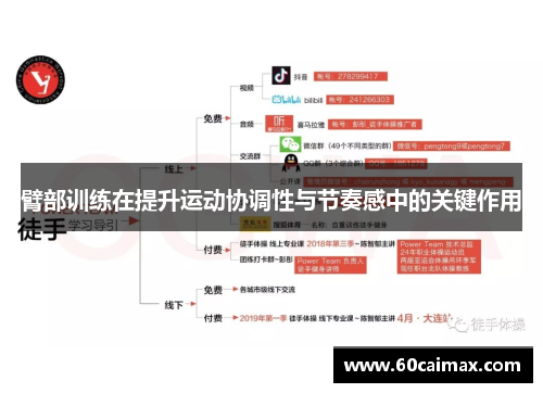 臂部训练在提升运动协调性与节奏感中的关键作用